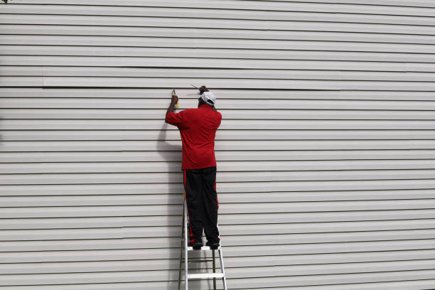 Best Siding Painting and Refinishing  in Freeport, PA